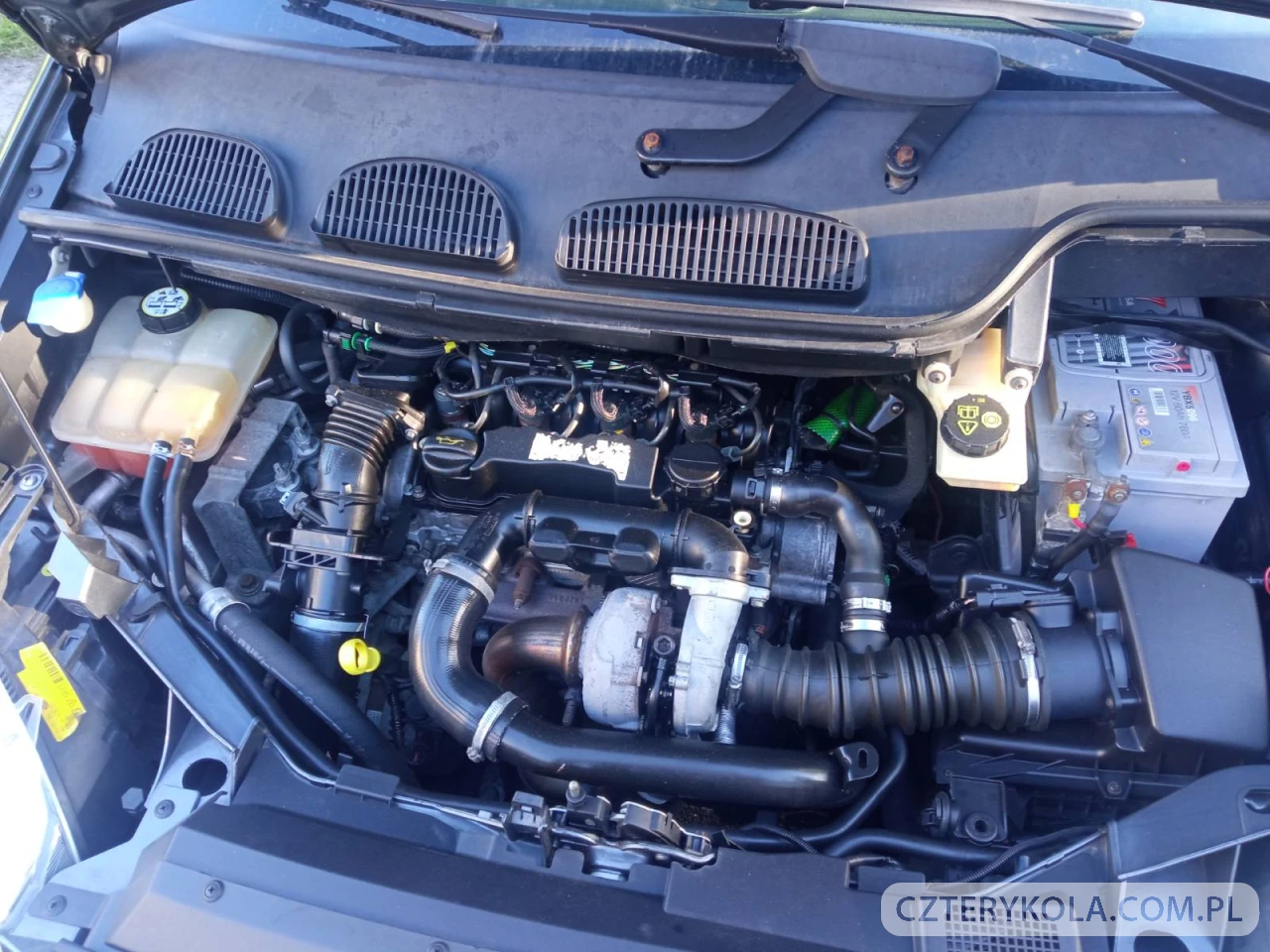 Ford- C-MAX- 2004 