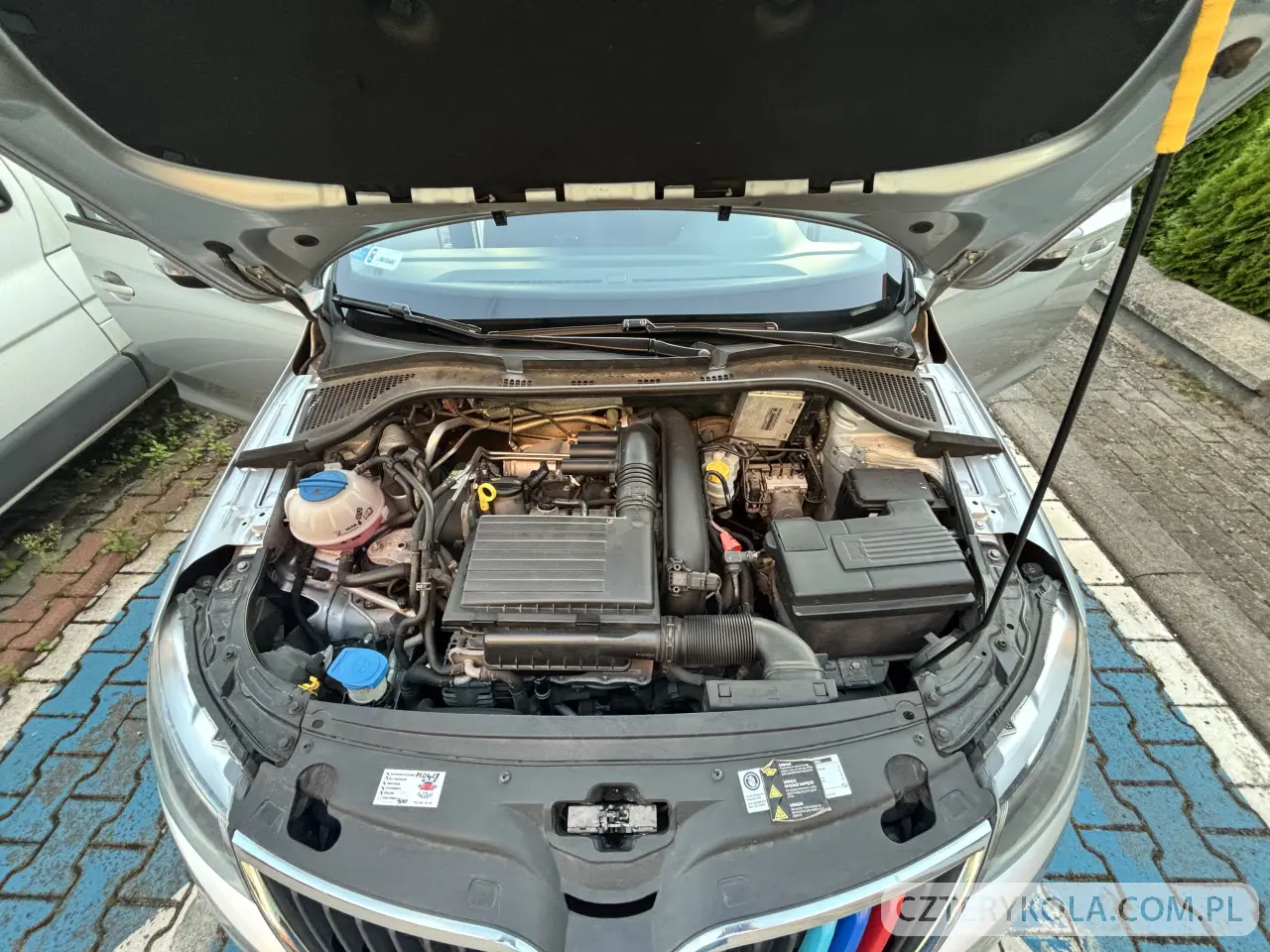 Skoda- RAPID- 2016 