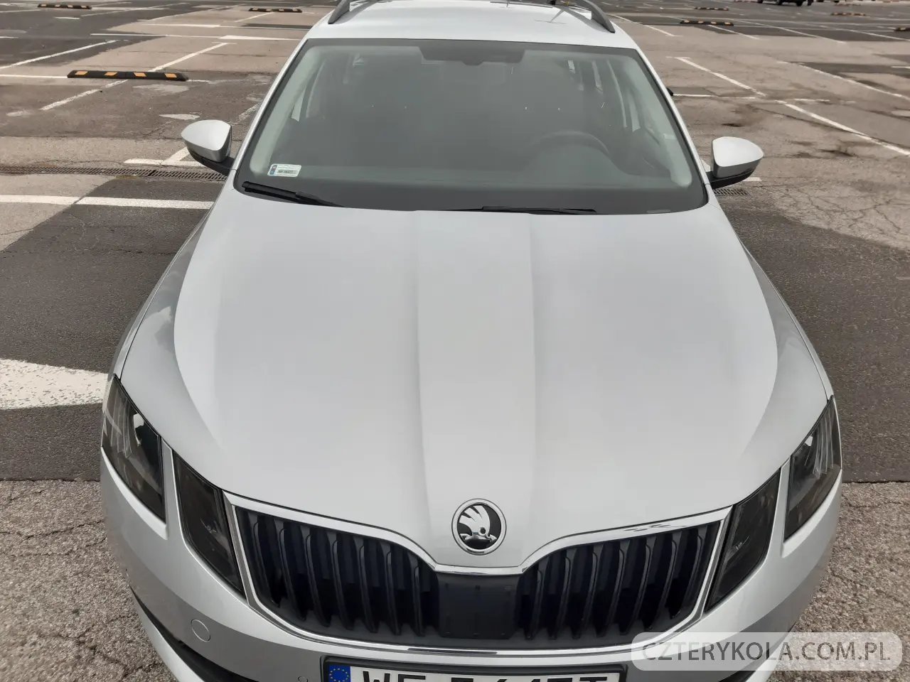 Skoda- Octavia- 2019 