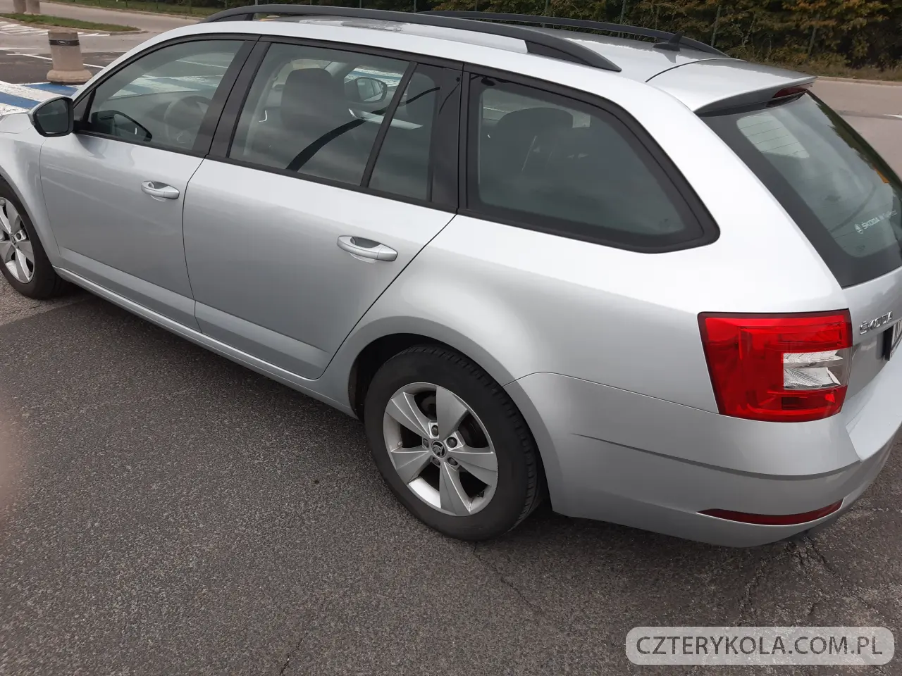 Skoda- Octavia- 2019 