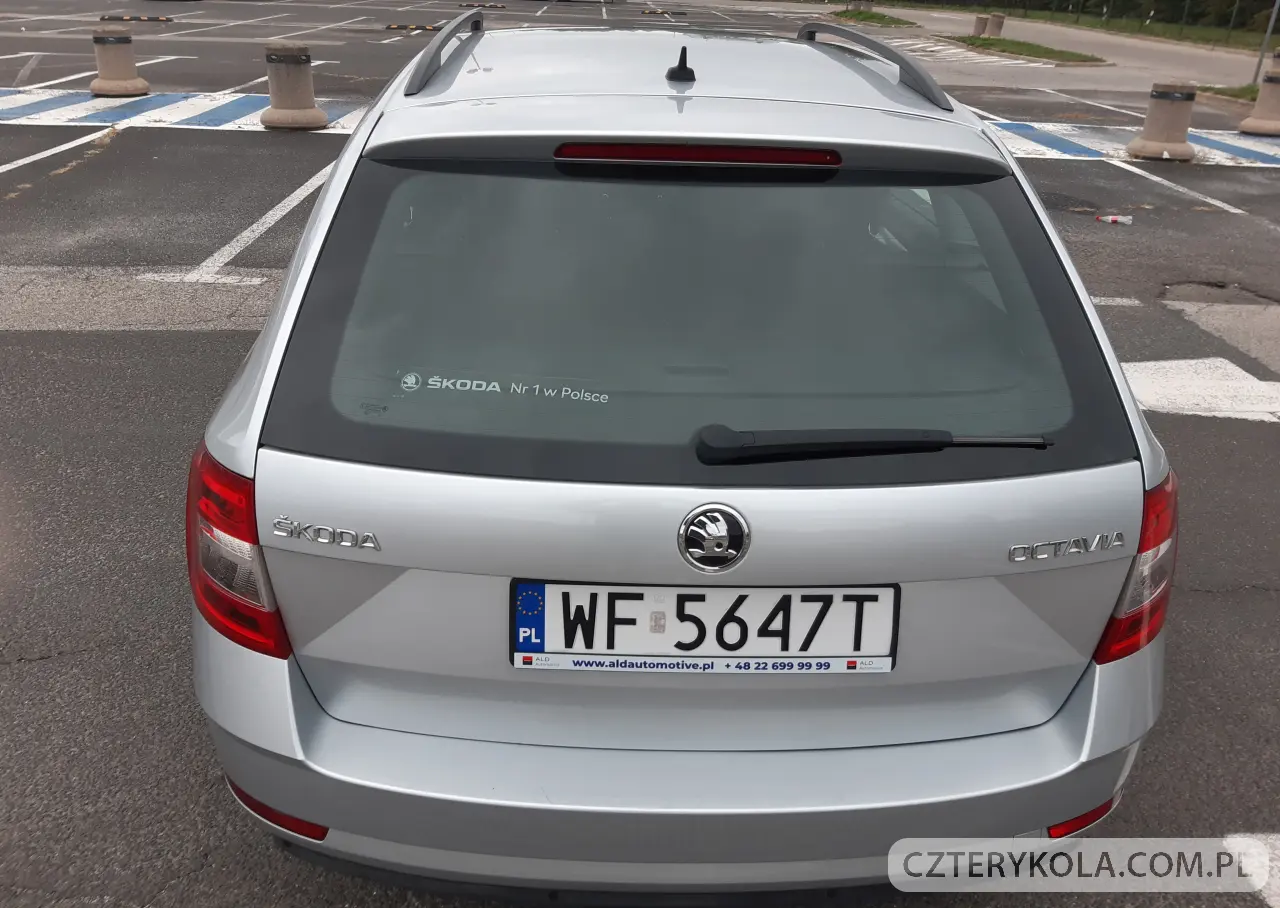 Skoda- Octavia- 2019 