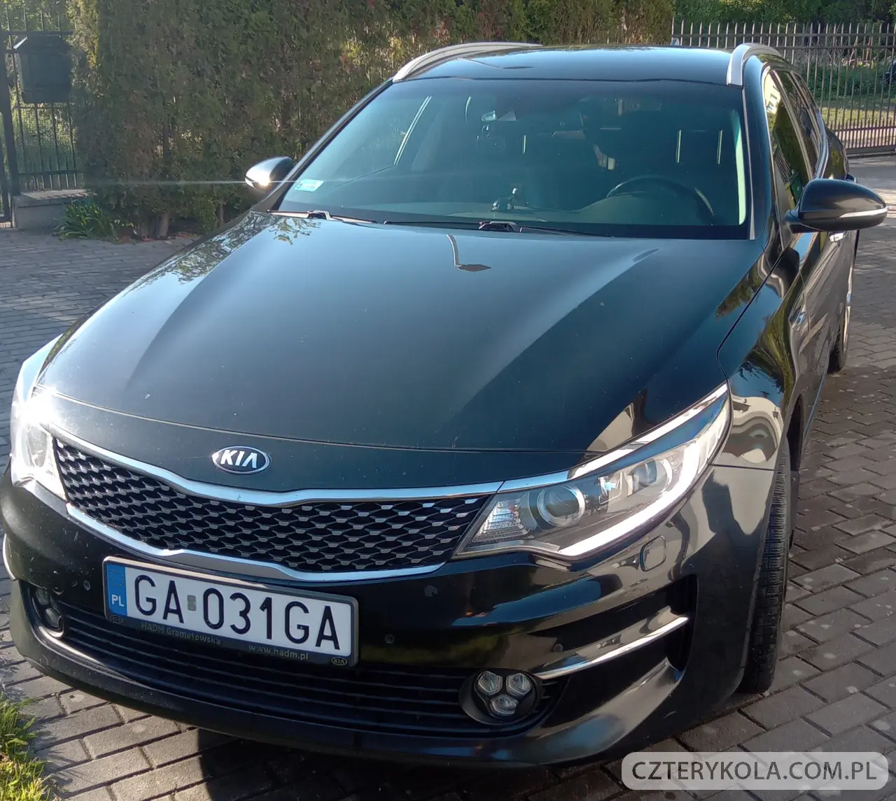 Kia- Optima- 2016 