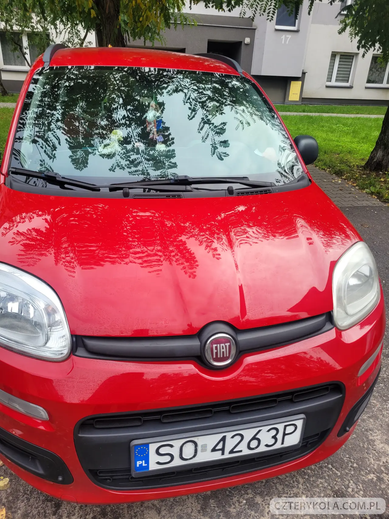 Fiat- Panda- 2013 