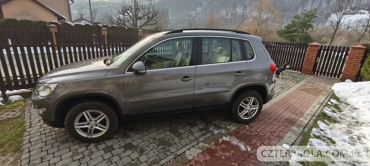 Volkswagen- Tiguan- 2008 