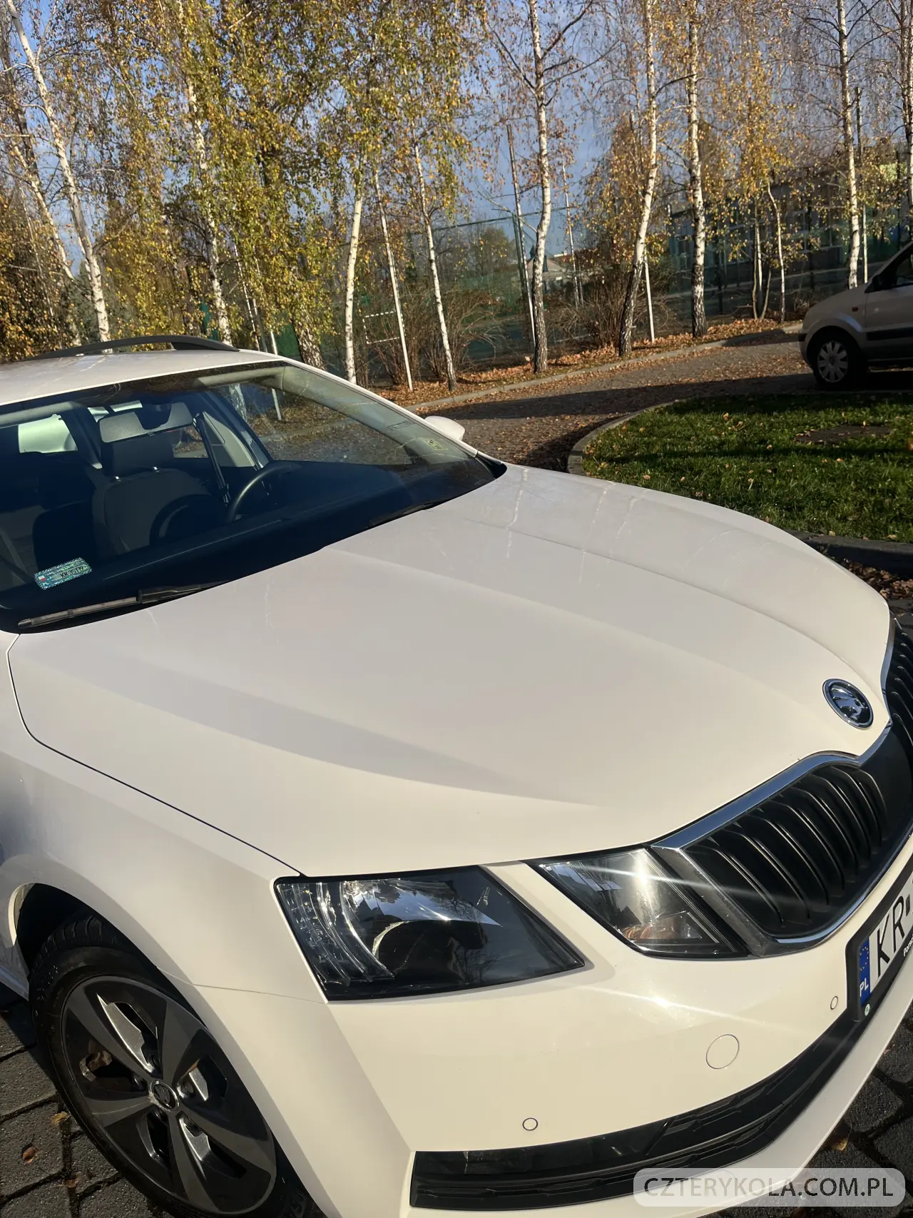 Skoda- Octavia- 2020 