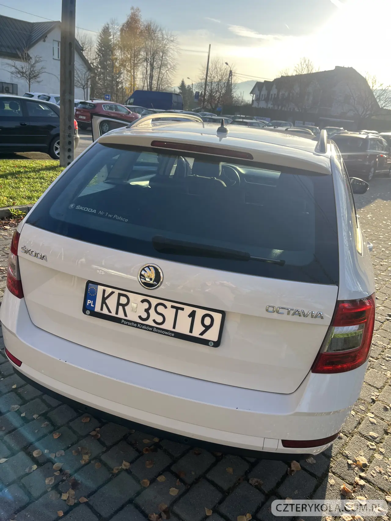 Skoda- Octavia- 2020 