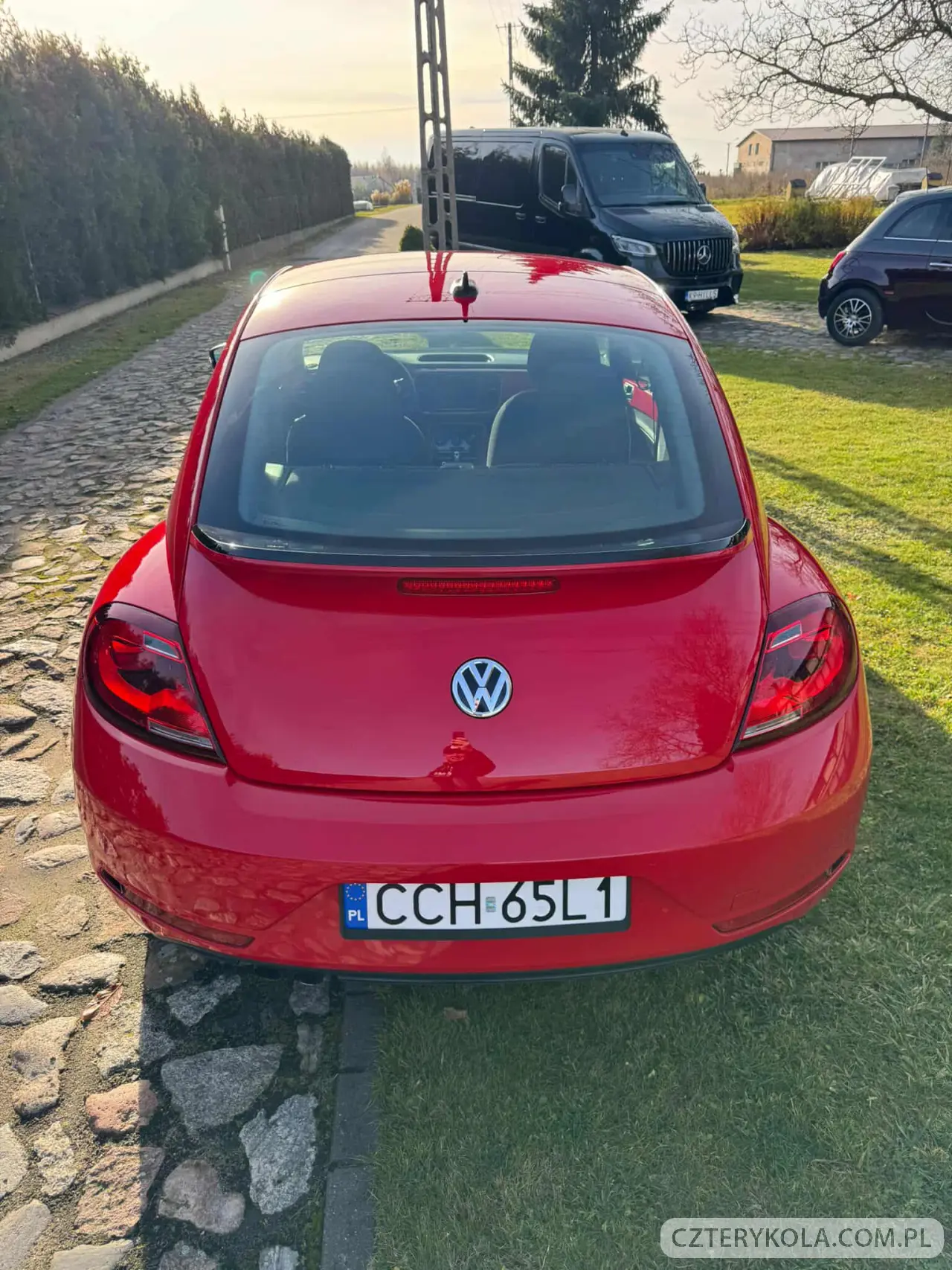 Volkswagen- Beetle- 2017 