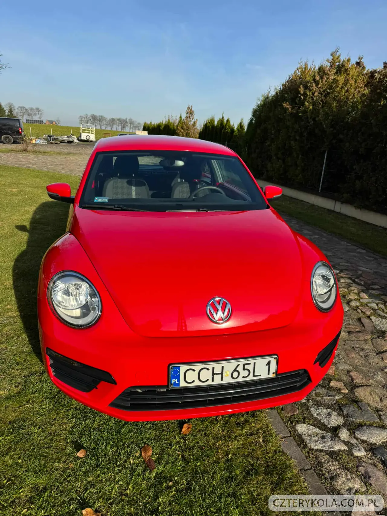 Volkswagen- Beetle- 2017 