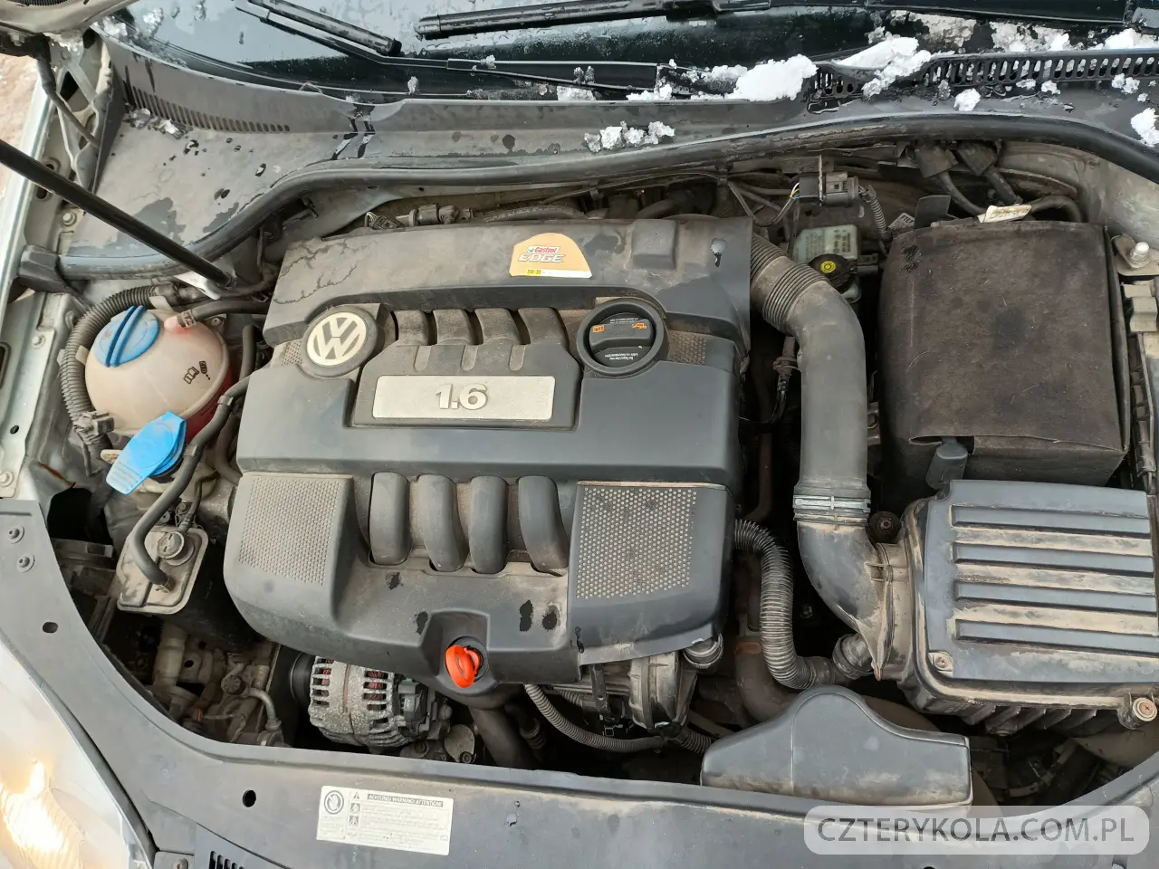 Volkswagen- Jetta- 2010 