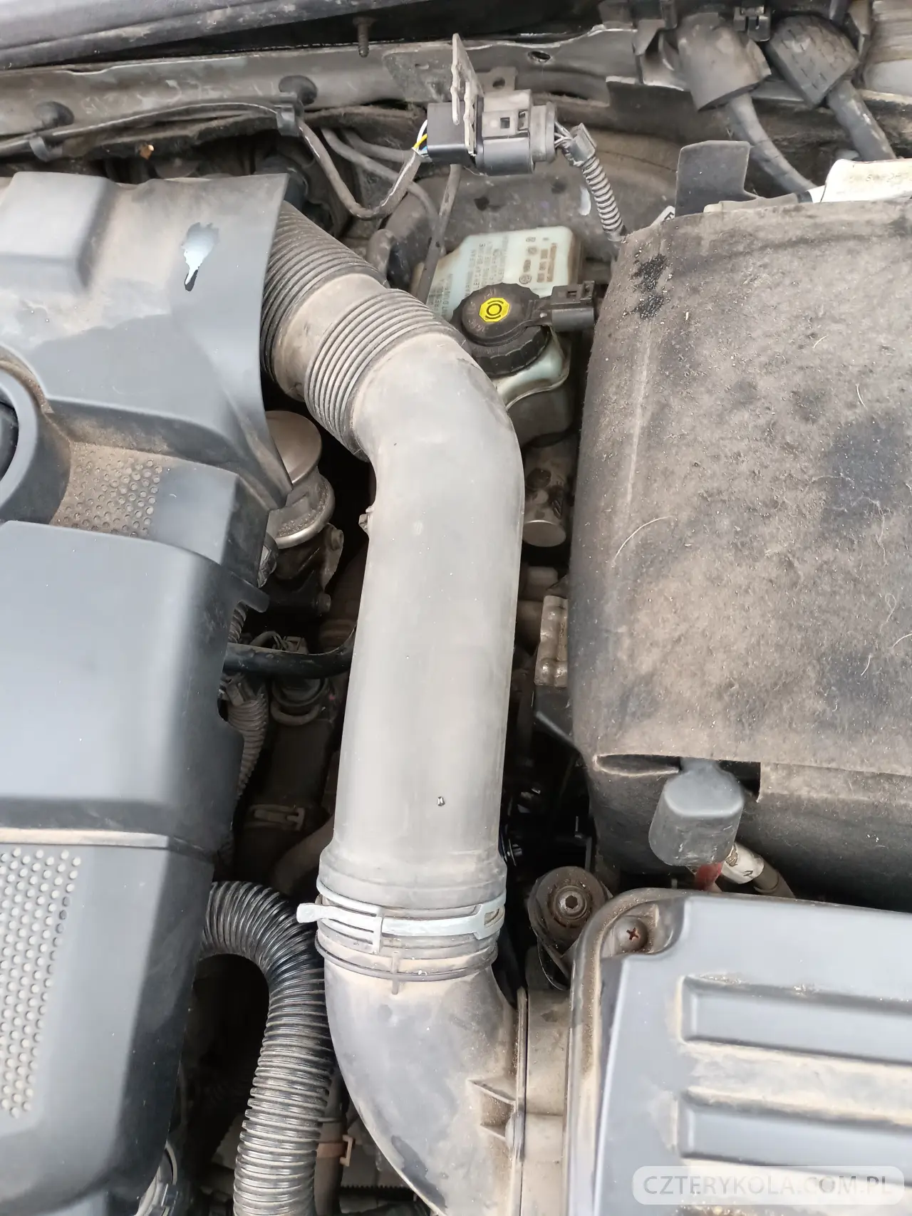 Volkswagen- Jetta- 2010 