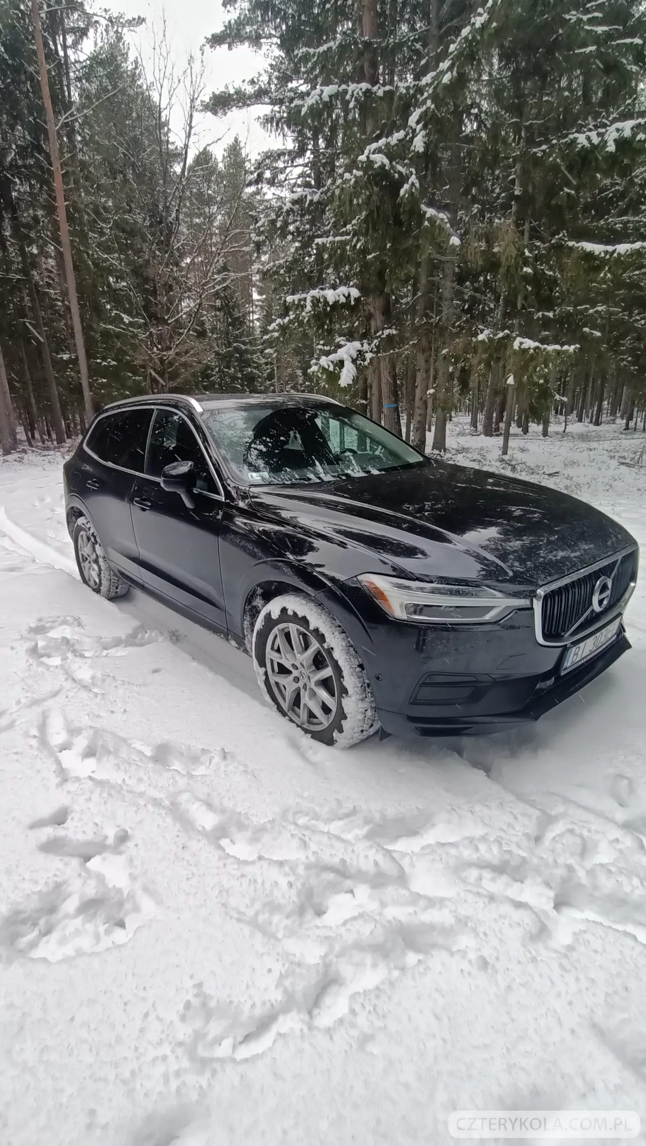 Volvo- XC 60- 2018 