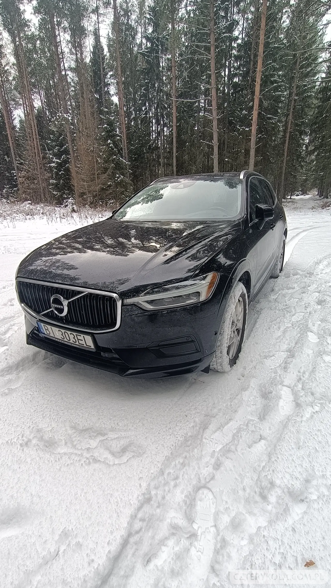 Volvo- XC 60- 2018 