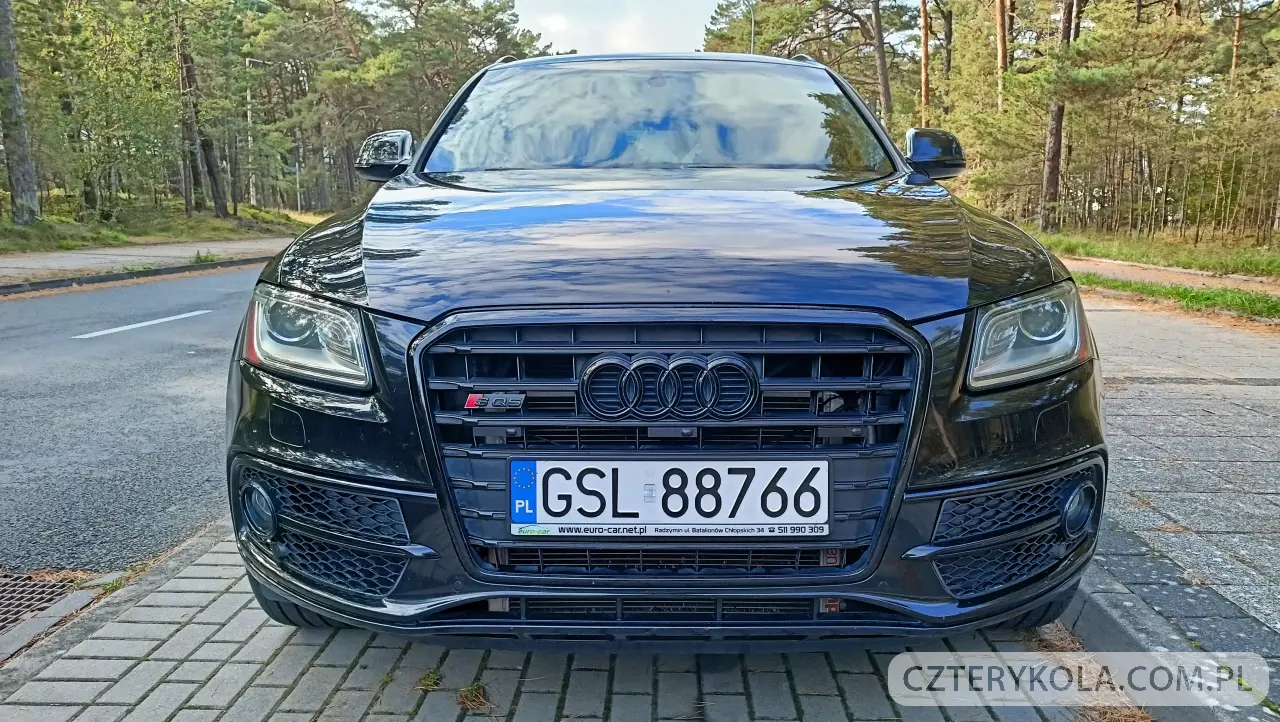 Audi- SQ5- 2016 