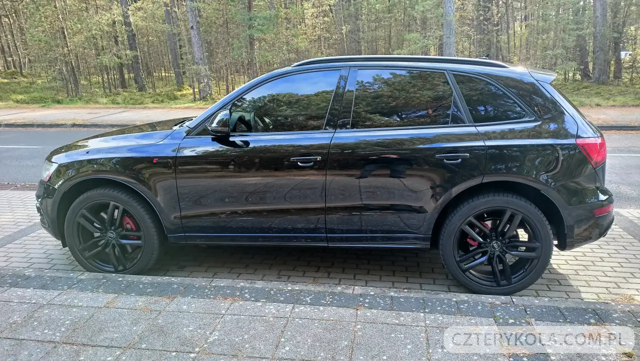 Audi- SQ5- 2016 