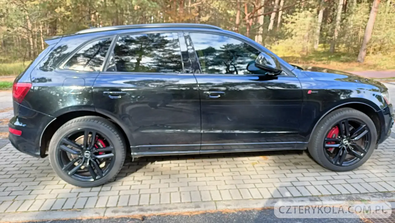 Audi- SQ5- 2016 