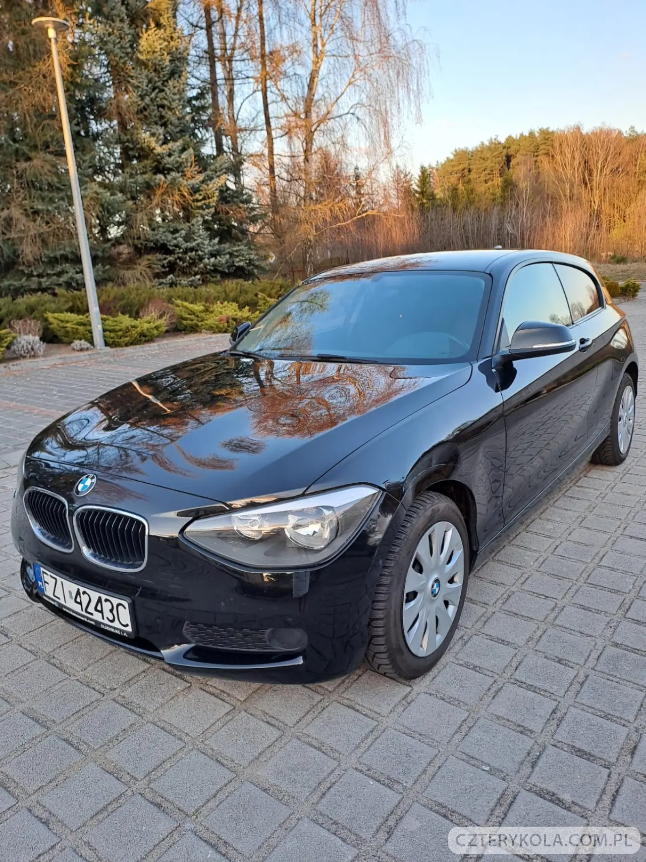 BMW- 1M- 2013 