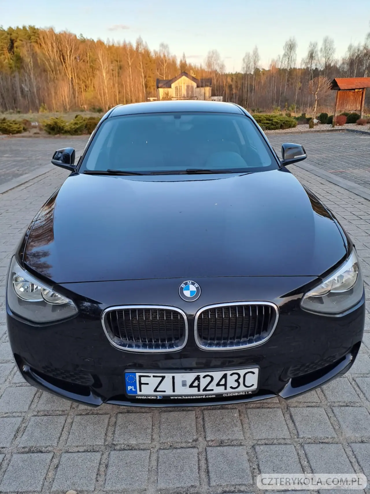 BMW- 1M- 2013 