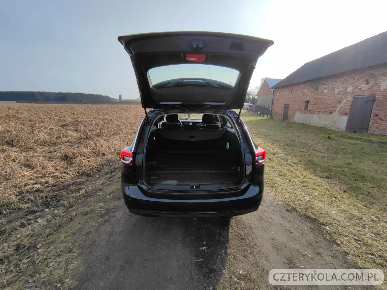 Opel- Insignia- 2018 