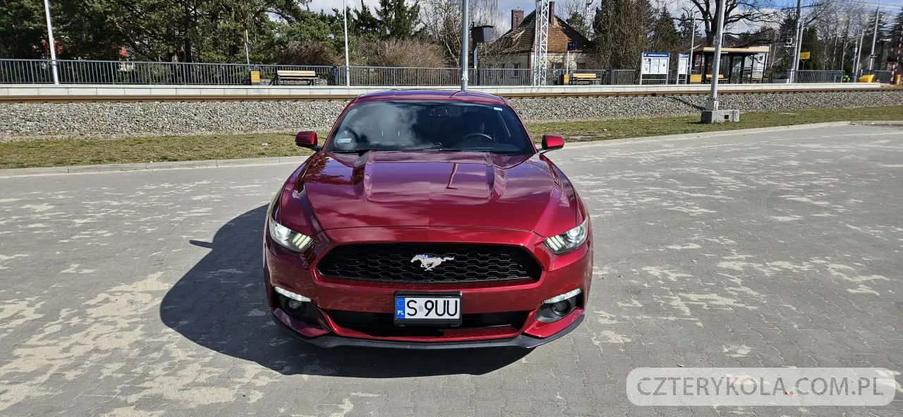 Ford- Mustang- 2015 