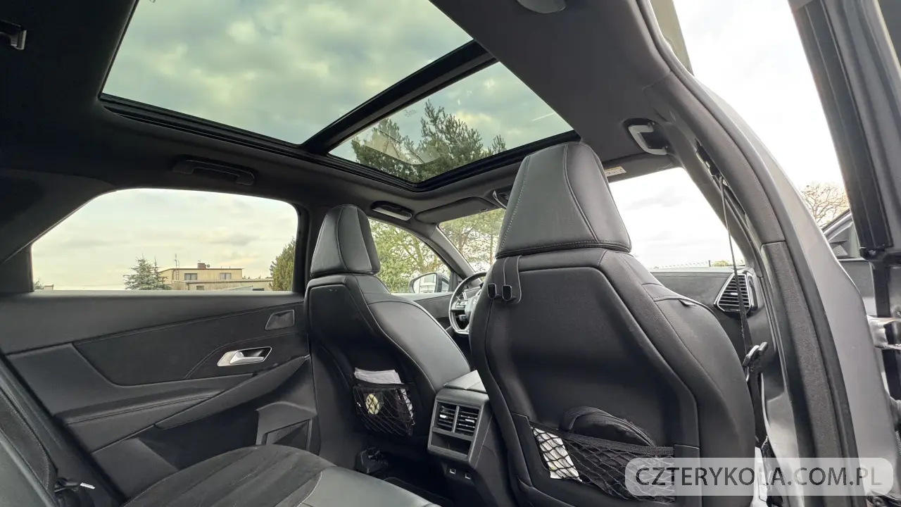 DS Automobiles- Inny- 2019 
