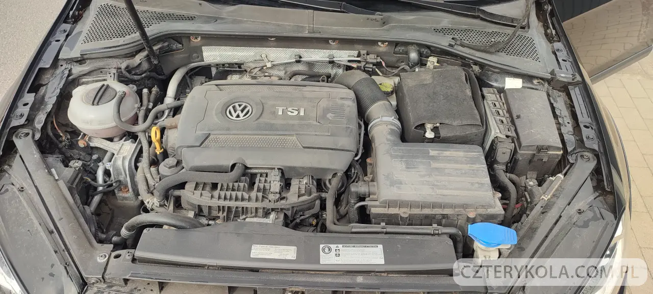 Volkswagen- Golf- 2017 