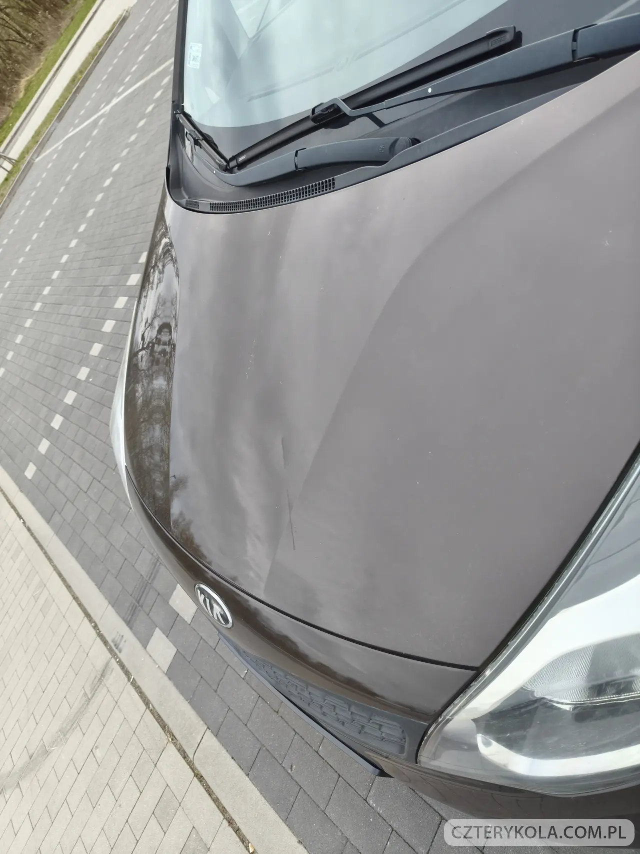 Kia- Rio- 2013 
