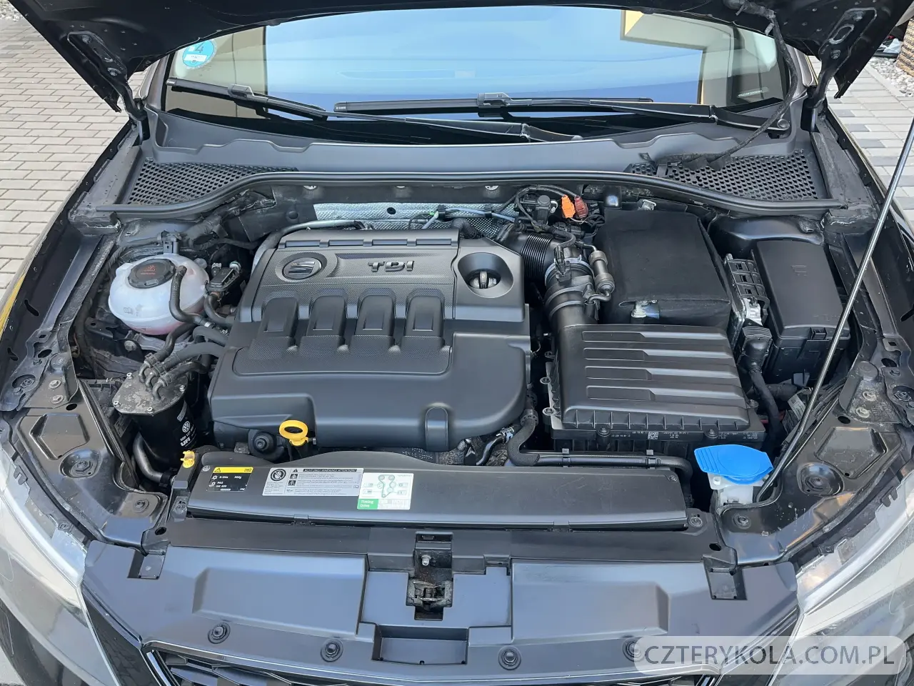 Seat- Leon- 2014 