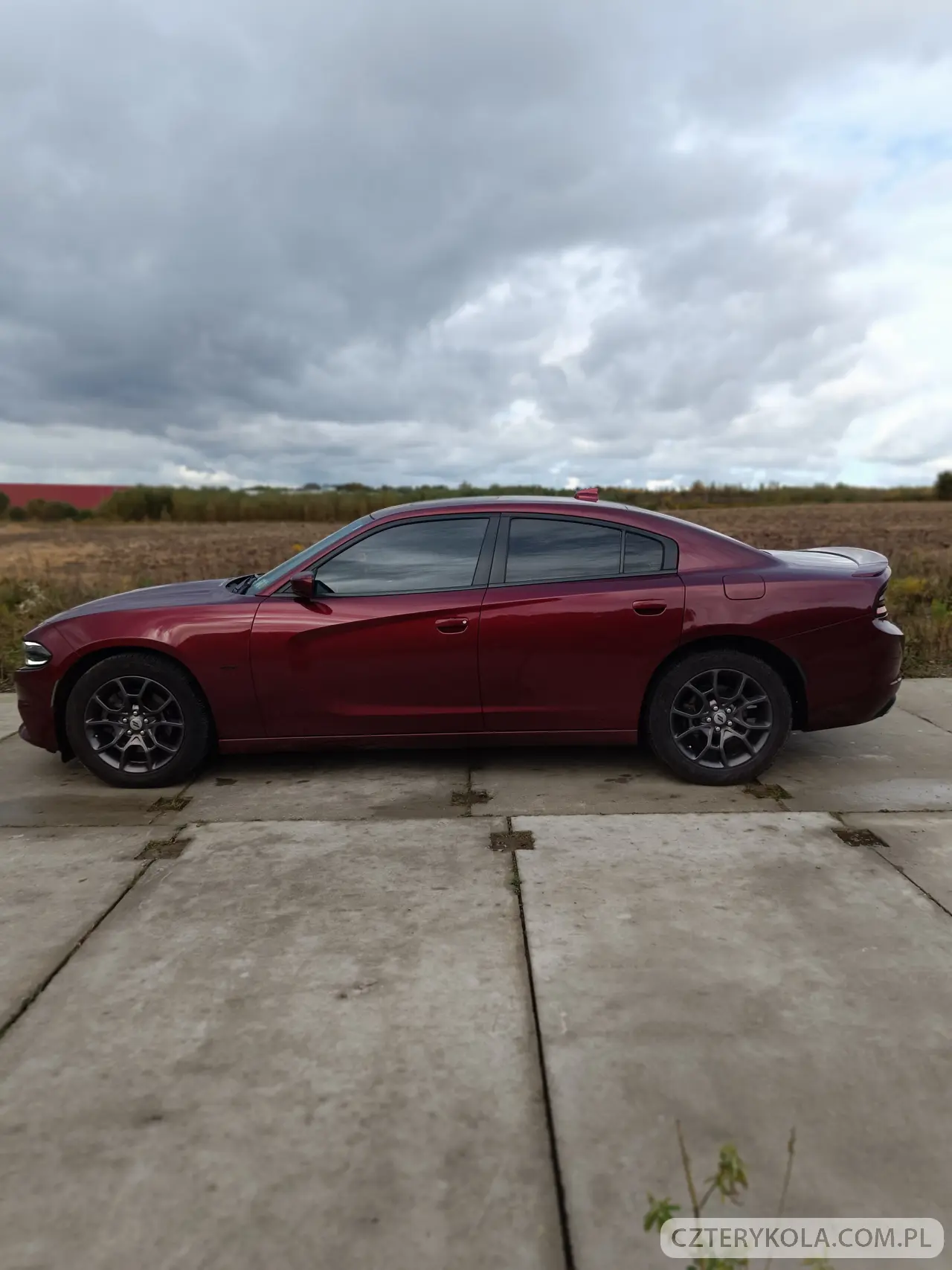 Dodge- Charger- 2018 