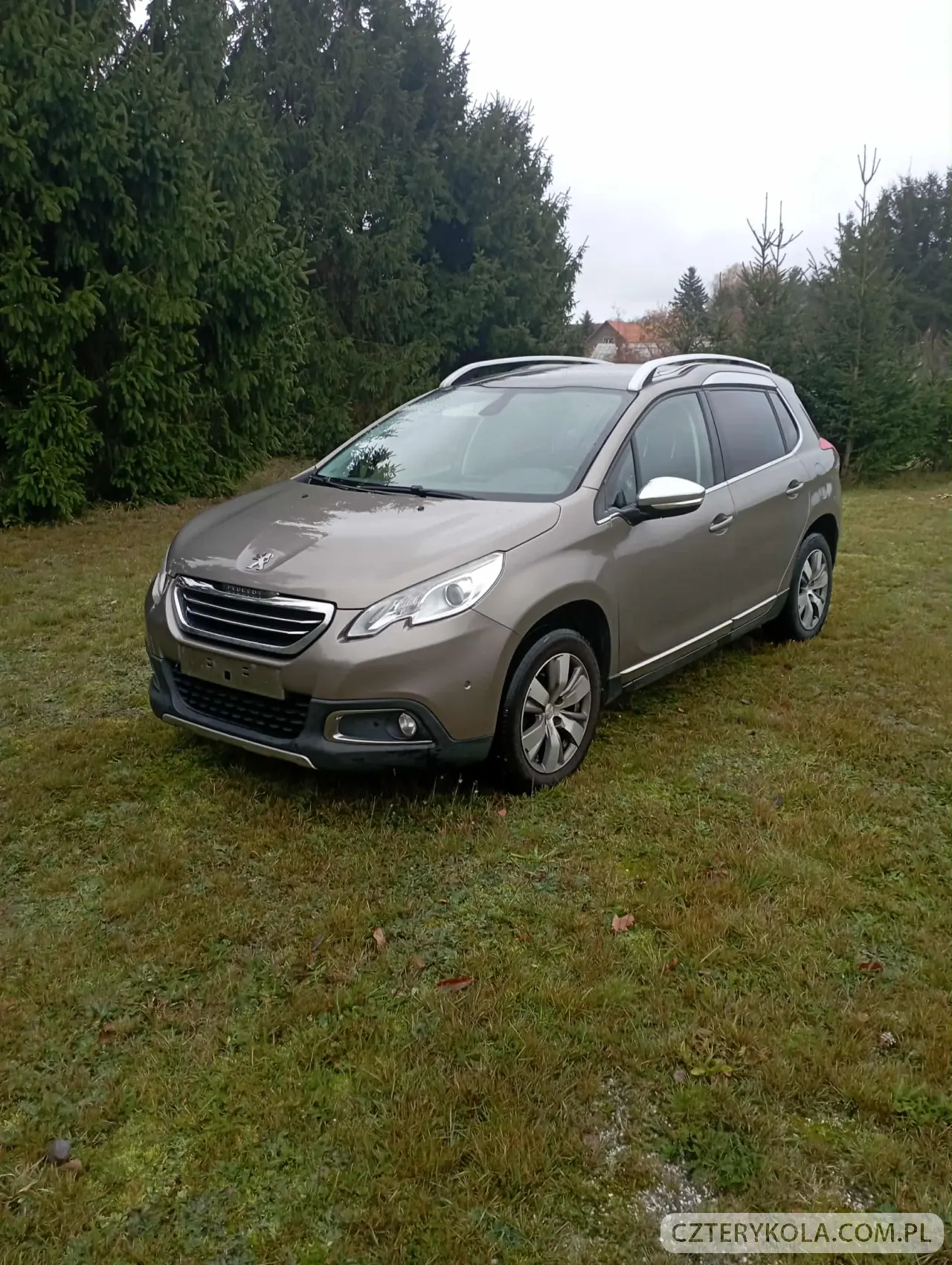 Peugeot- 2008- 2015 