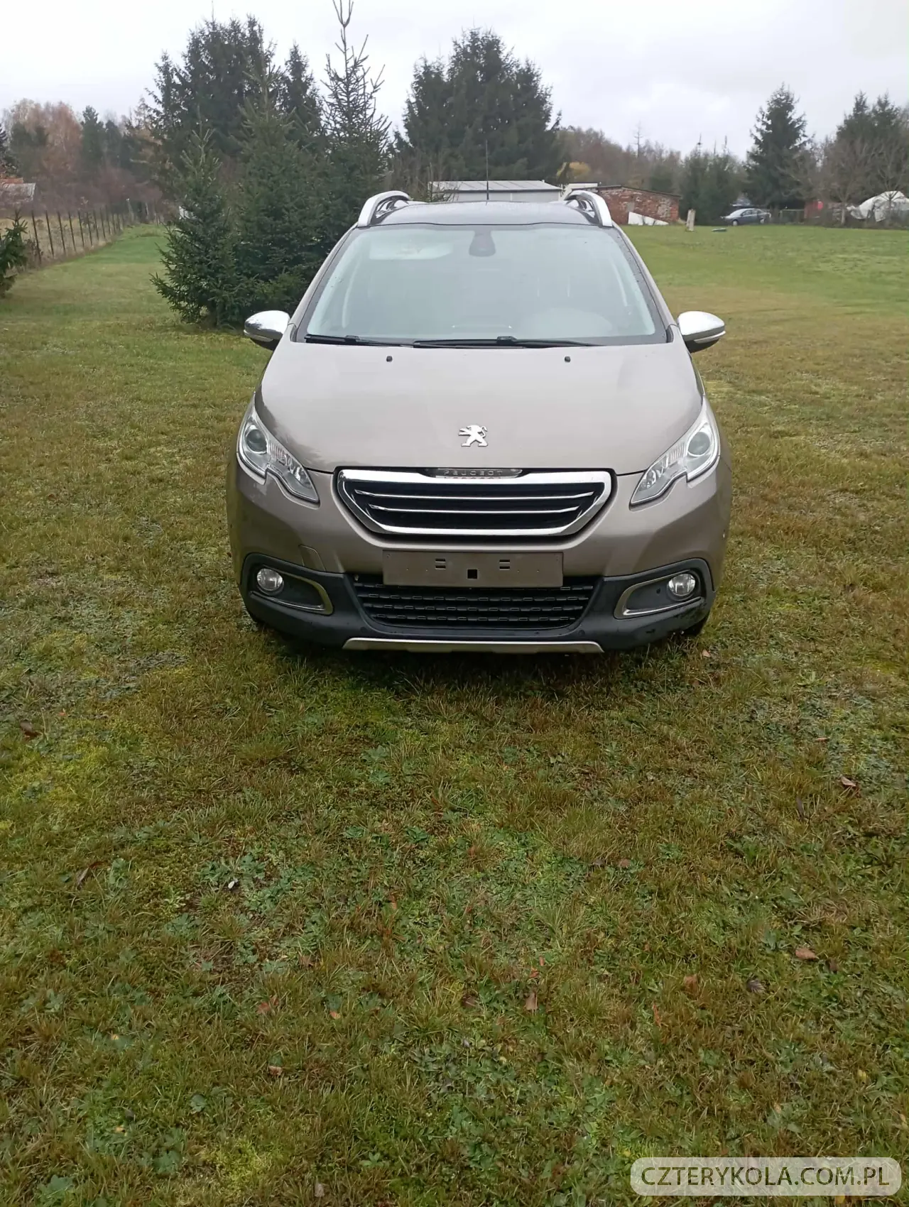 Peugeot- 2008- 2015 