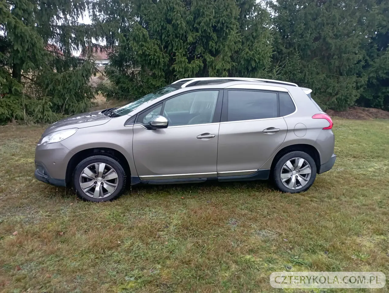 Peugeot- 2008- 2015 