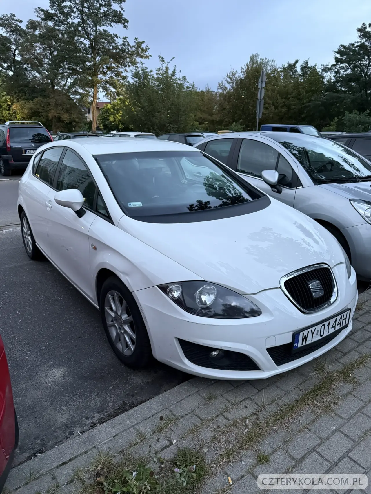 Seat- Leon- 2010 