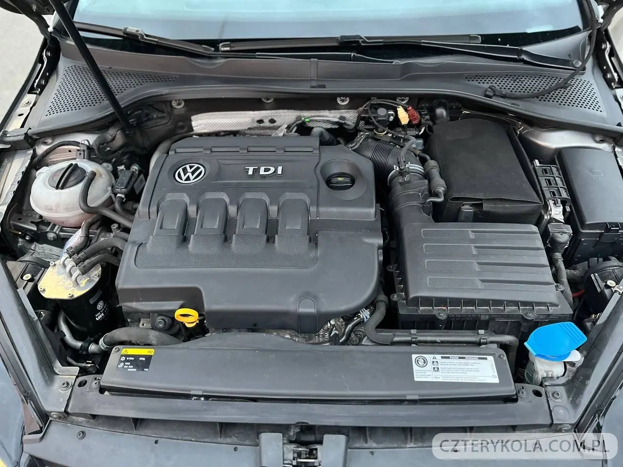 Volkswagen- Golf- 2015 