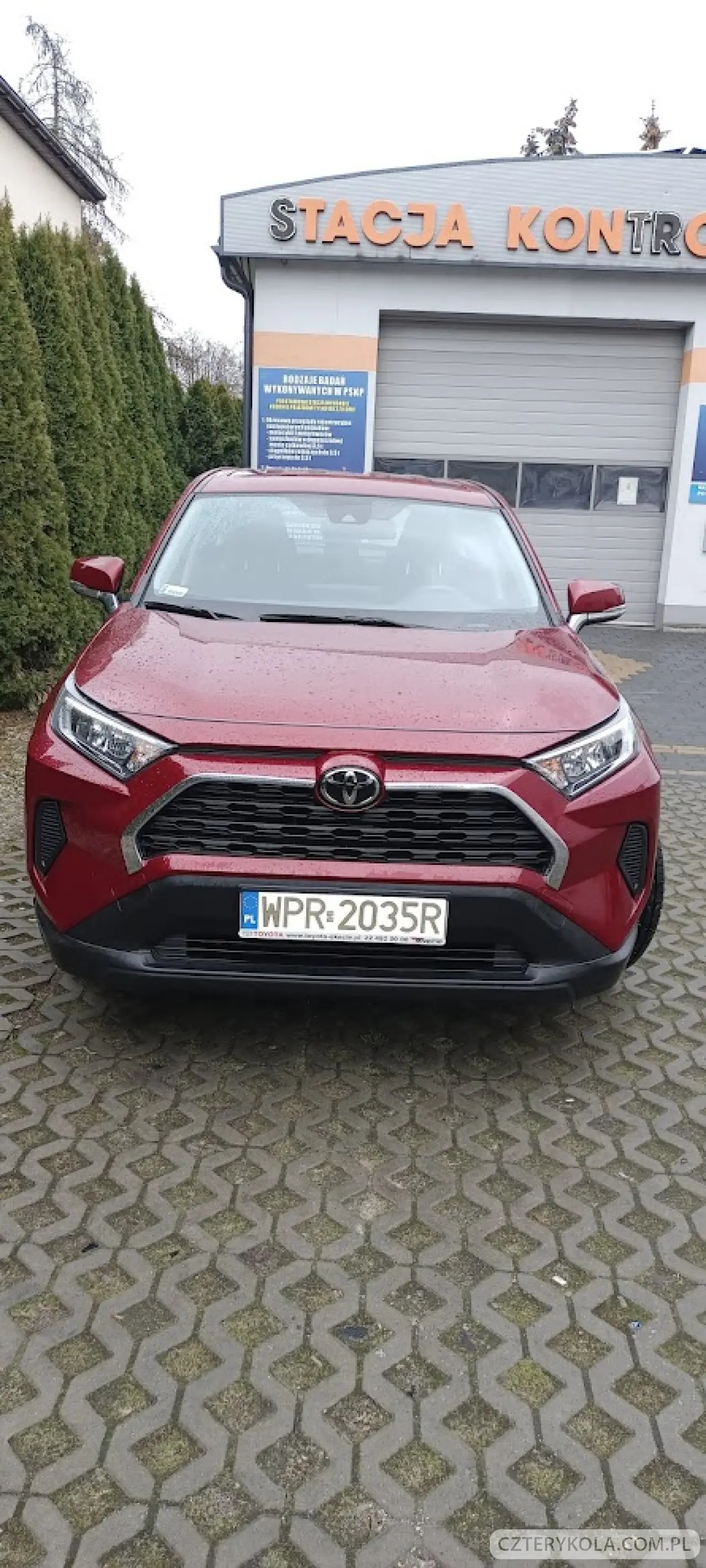 Toyota- RAV4- 2019 