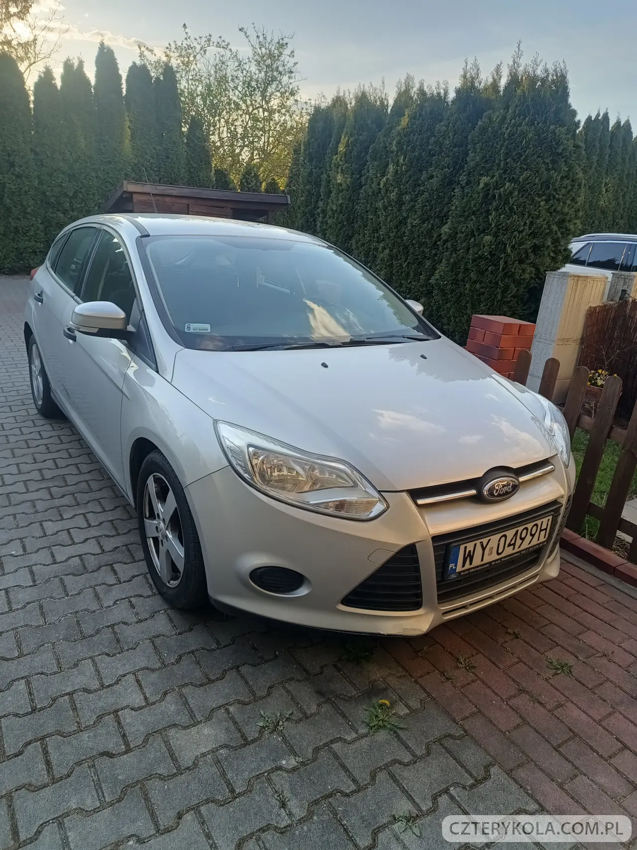 Ford- Focus- 2014 