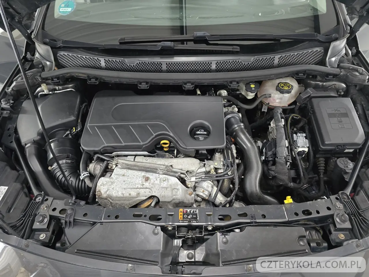 Opel- Astra- 2016 