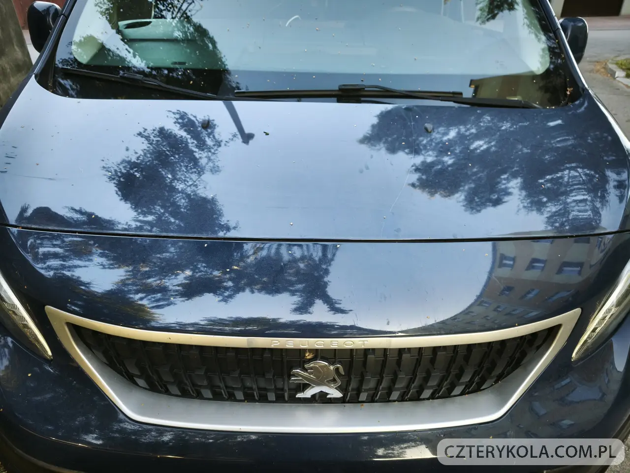 Peugeot- Expert- 2017 