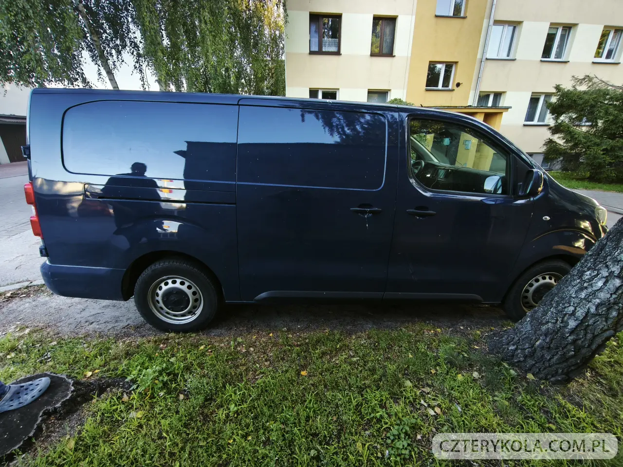 Peugeot- Expert- 2017 