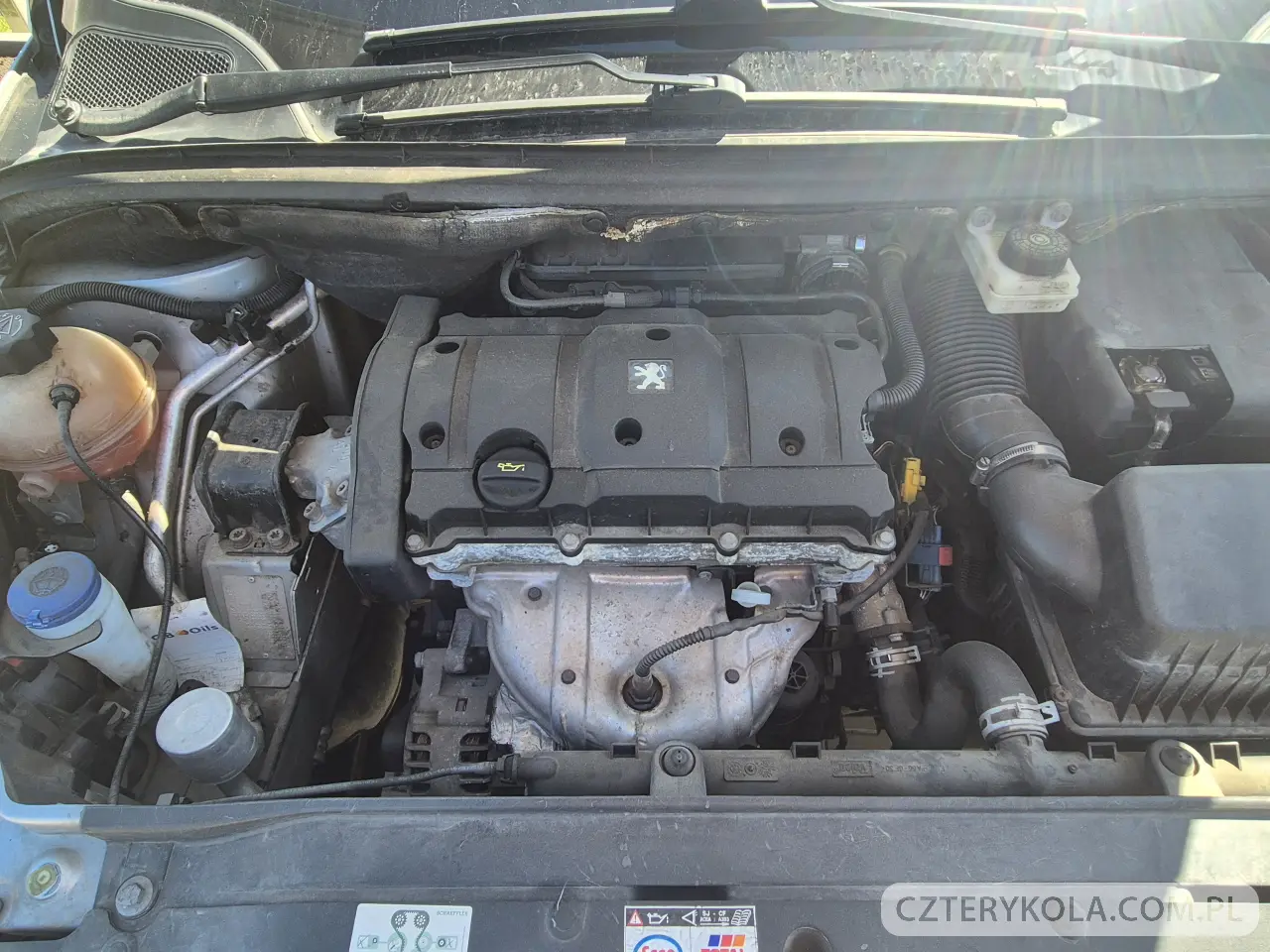 Peugeot- Traveller- 2003 