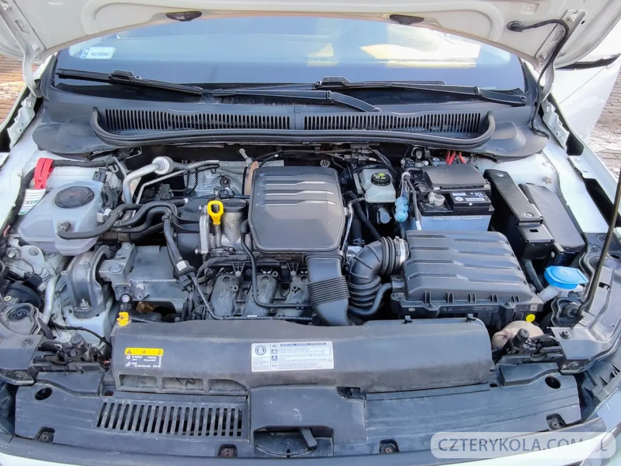 Volkswagen- Polo- 2018 