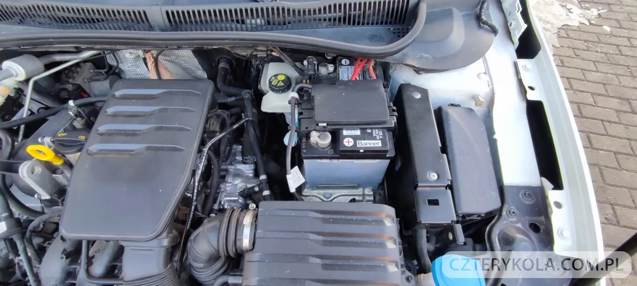 Volkswagen- Polo- 2018 