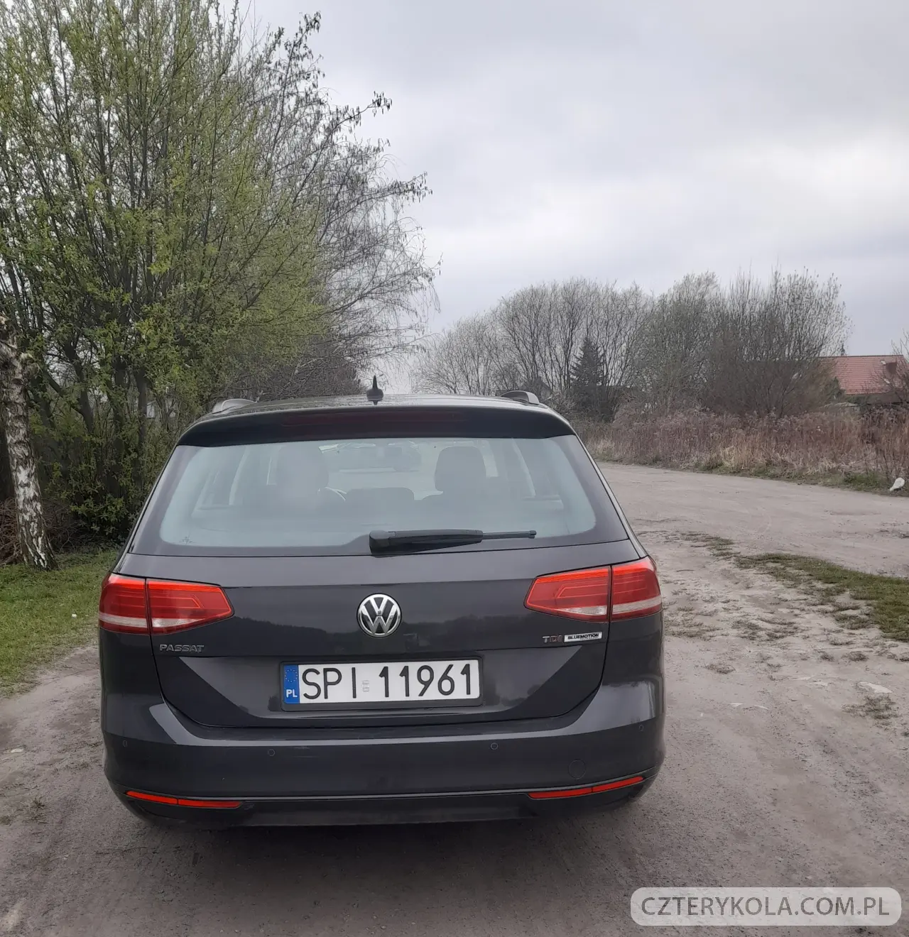 Volkswagen- Passat- 2015 