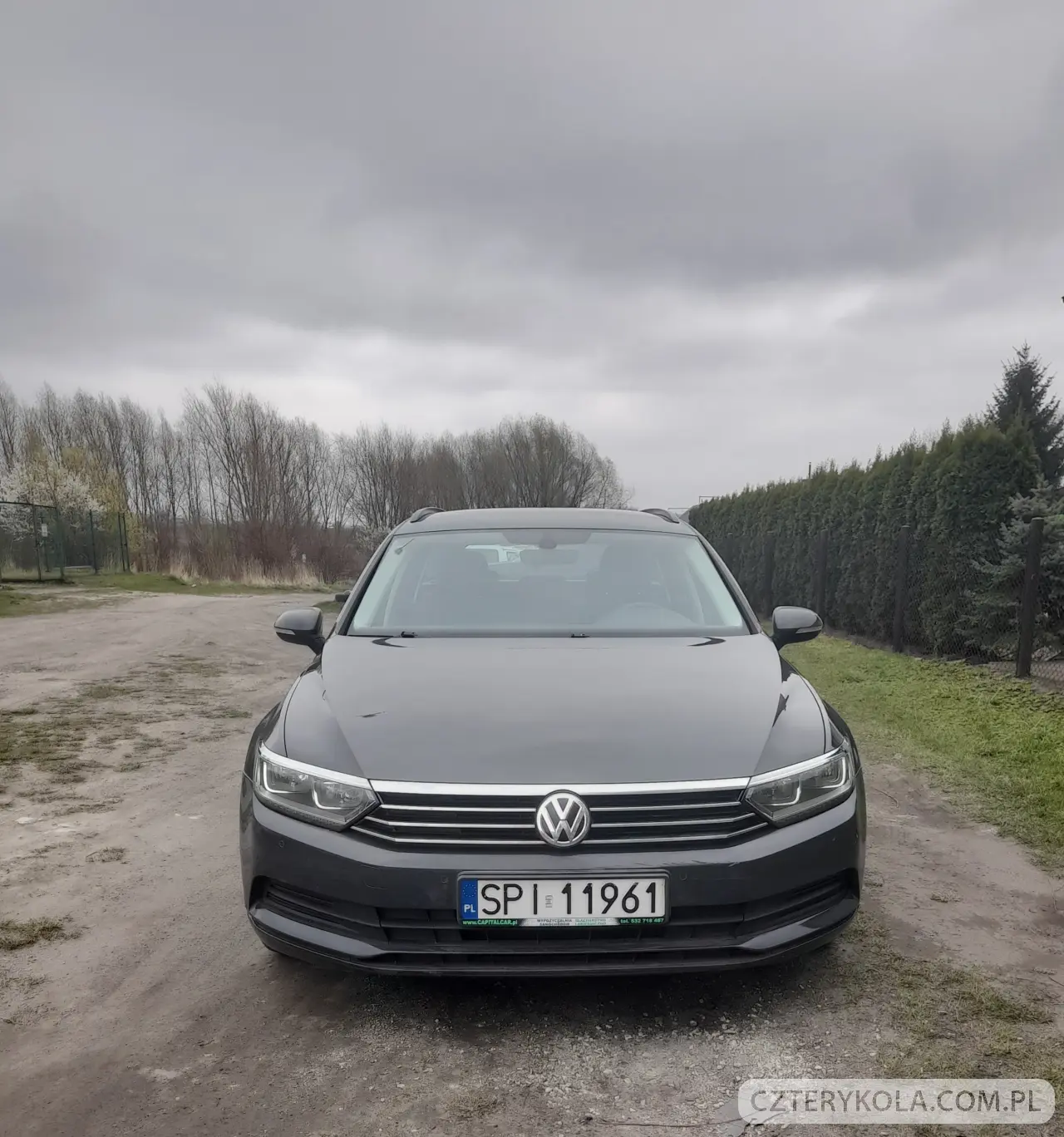 Volkswagen- Passat- 2015 