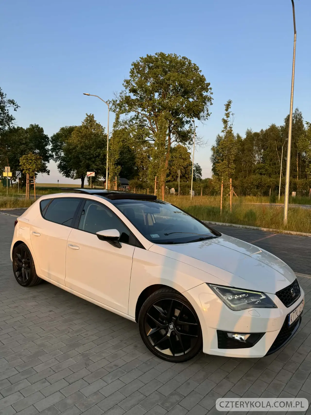 Seat- Leon- 2013 