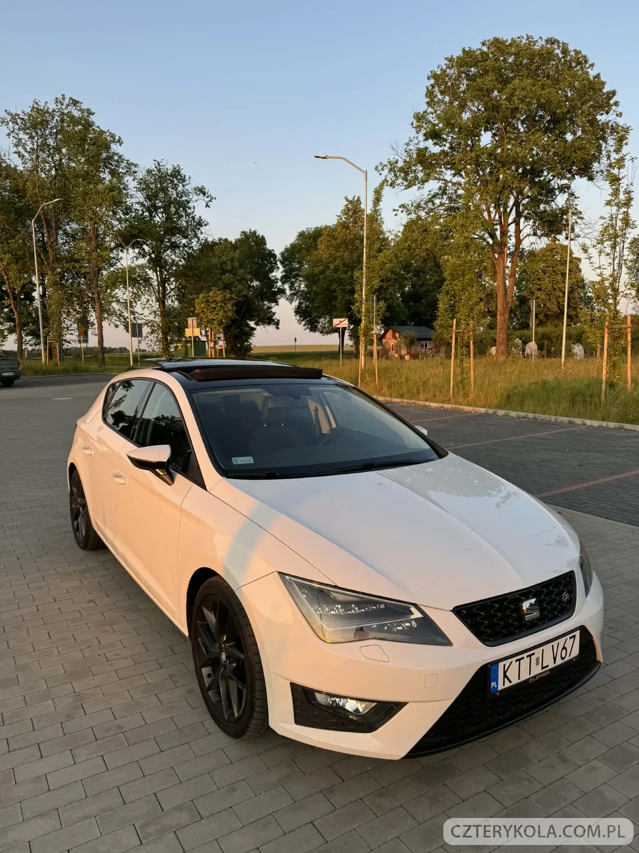 Seat- Leon- 2013 