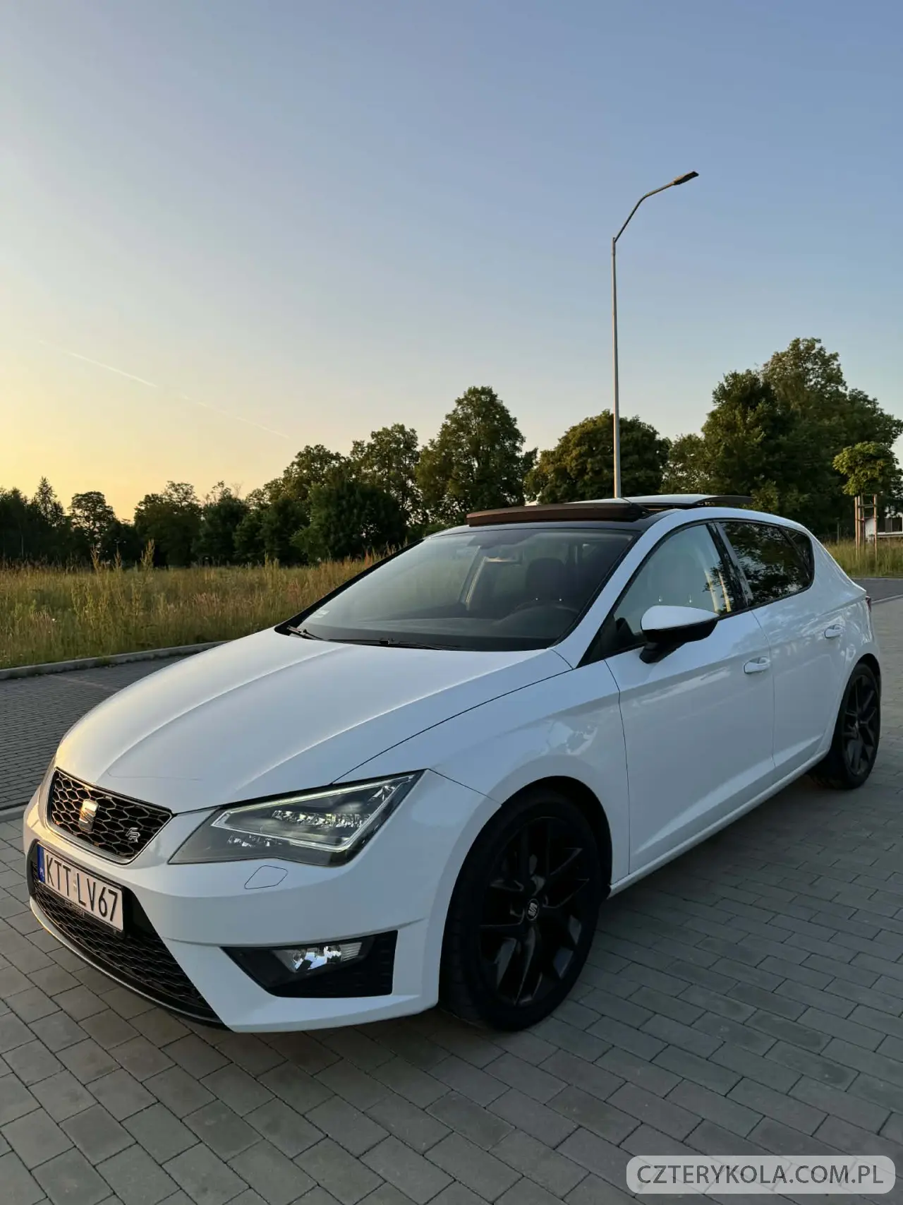 Seat- Leon- 2013 