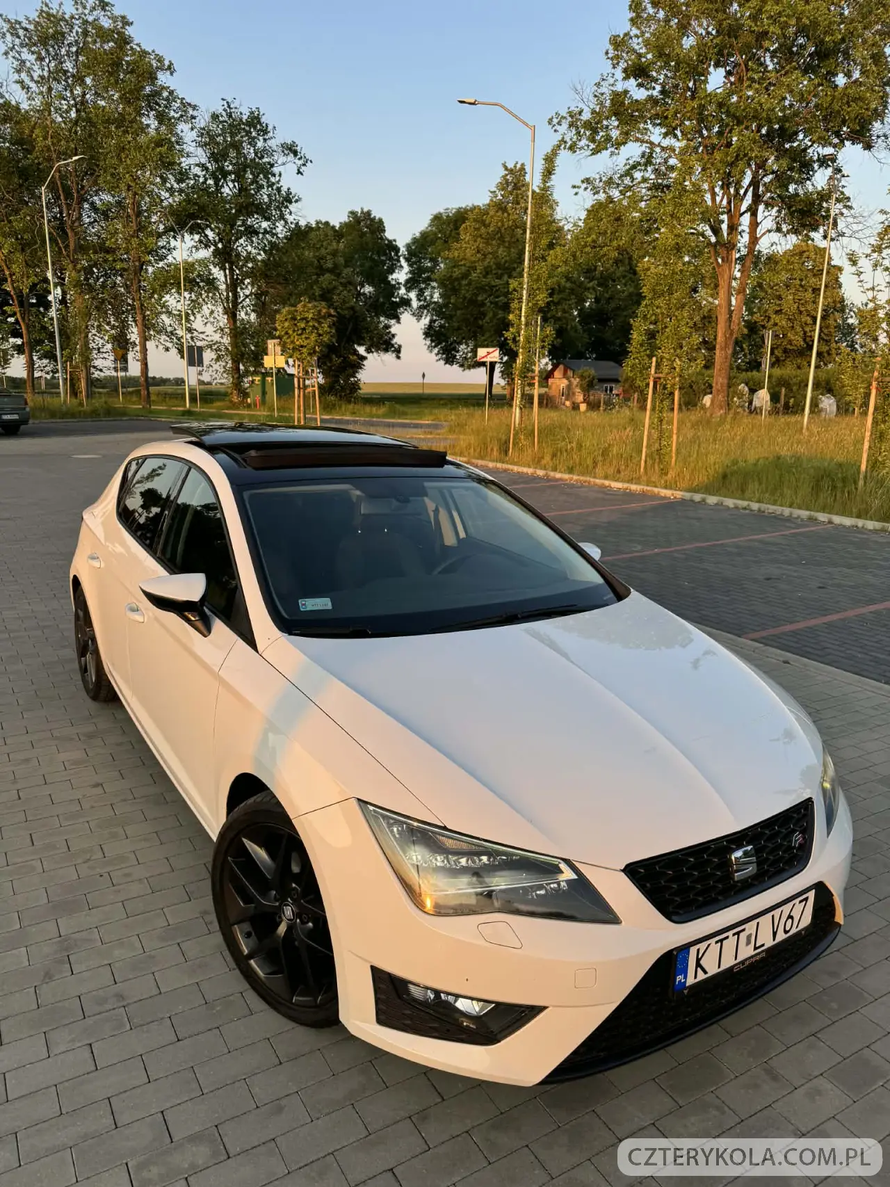 Seat- Leon- 2013 