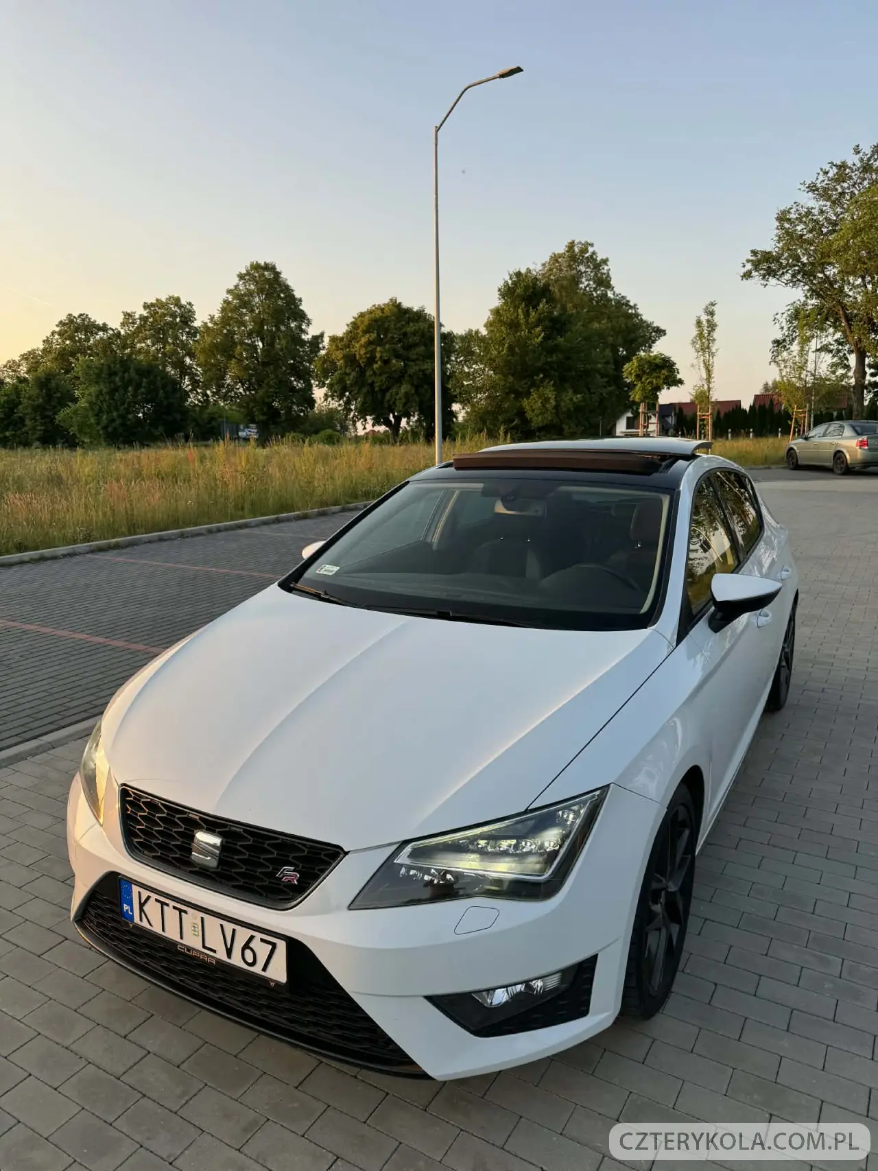 Seat- Leon- 2013 