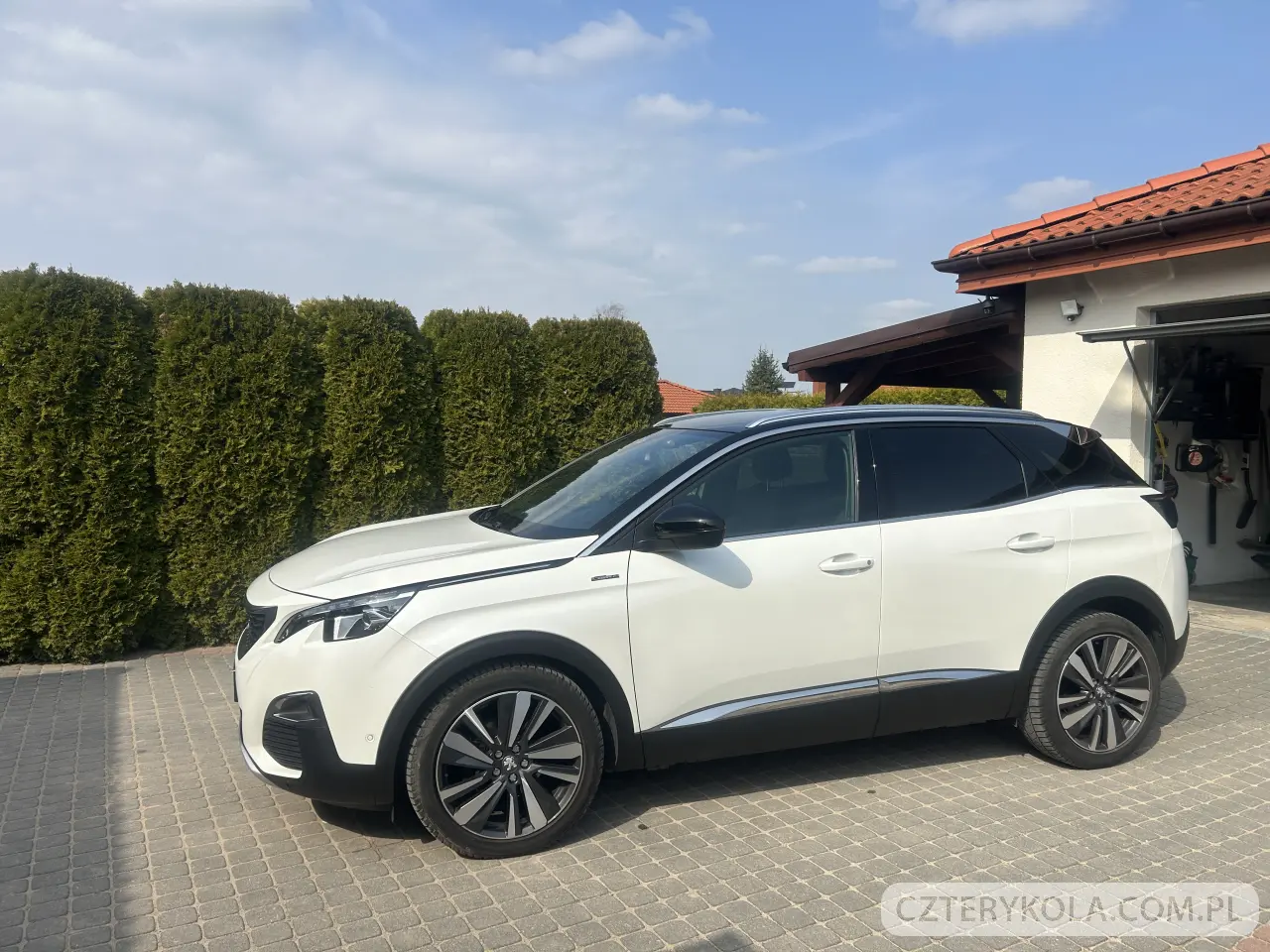 Peugeot- 3008- 2019 
