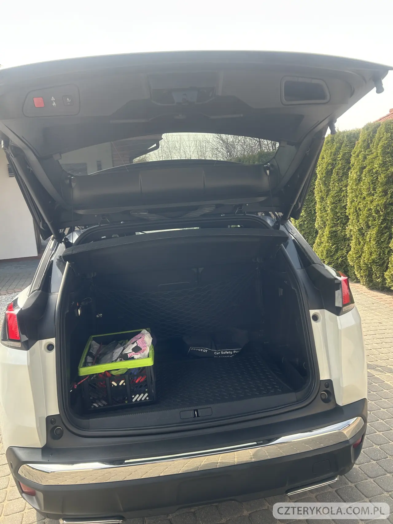 Peugeot- 3008- 2019 